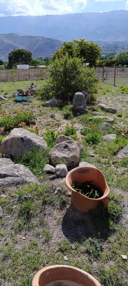 TAFI DEL VALLE, LA COSTA 1