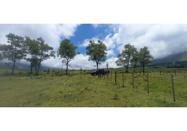 LA DONOSA, TAFI DEL VALLE